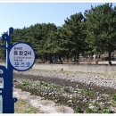 해파랑길 16코스 이미지