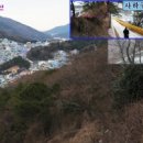 감정초교 이미지