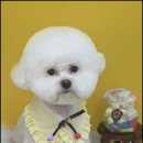 몽개구름 이미지