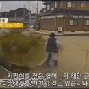 ■ 일본 쓰나미 동네 할머니 구하는 블.박 이미지