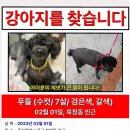 성안주유소 이미지
