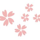 타카독스 커피 이미지