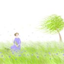 봄바람