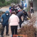 나무행정사무소 이미지