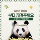 우리오에이 이미지