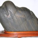 멍멍이네 이미지