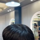 젤라헤어 - 세종특별자치시 | 젤라헤어