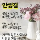 하보 이미지