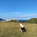 게으른 소나기 민박 | 제주도 해녀체험, 렌트카 추천