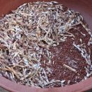 연두농장 이미지