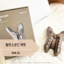 넥발란스 | 일자목 거북목교정 스트레칭 기구 발란스코드 넥팟 후기