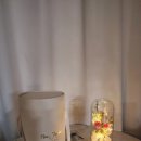 정원집 | 플로라정원 유리돔 무드등 후기｜집 분위기 바꿔주는 감성 조명