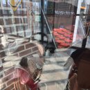 로드하우스식당 | 송현아맛집)텍사스로드하우스 내돈내산 솔직후기