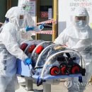 동해중앙초등학교 이미지