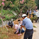 하노마을회관 이미지