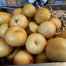 파인드 핏 이미지