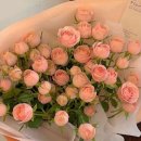 플로밋 이미지