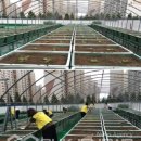 화명1동 주민센터 이미지