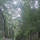 송도요양병원 | 도심 [산행과 트레킹]..천마산~장군봉~암남공원~송도해수욕장