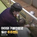쥬쥬랜드 | 일산 쥬쥬랜드 후기, 3살 아이와 완벽한 동물 체험 나들이