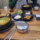 상황버섯 향촌 이미지