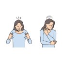 돈콕복콕