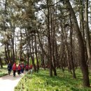 장항보건지소 이미지