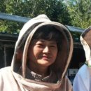 로얄양봉원