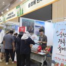 트래블마켓