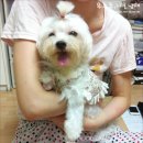 달샘 이미지
