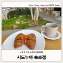 씨유 속초나하나점 | 속초 카페 추천: 시드누아 속초점 방문기 (설악산뷰·디저트 후기)