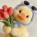 케이디 타워 | 지난 기록, 26년 1월