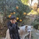 밖거리 민박 이미지