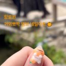 127 NAIL SHOP 네이버블로그