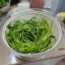 야채탈수기 추천 플루밍 만능채칼 사용후기
