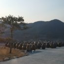 두향식품