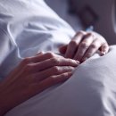 원선로3 이미지