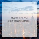 댕댕이애견 이미지