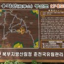 용화산자연휴양림 이미지