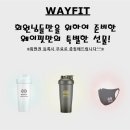 Wayfit PT 이미지