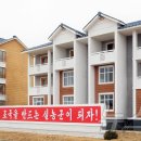 북일농장 이미지