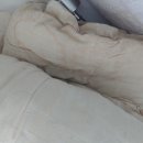 코인워시365나주혁신우정점 이미지