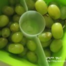 한입김밥