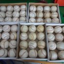 000-2-000042 이미지