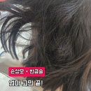 메이원헤어 - 성동구 | 분당 미금역 미용실 극손상 초등학생 매직 메이원헤어 추천후기