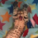 아,귀여워 이미지