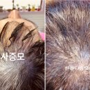 미짱헤어 - 화천군 | 미짱헤어