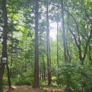 싸리고개공원 네이버블로그