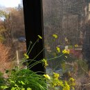 봄마중(2월에는) 이미지