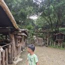 경기도 과천 아이랑 동물 먹이주기 &amp; 황토맨발걷기 체험